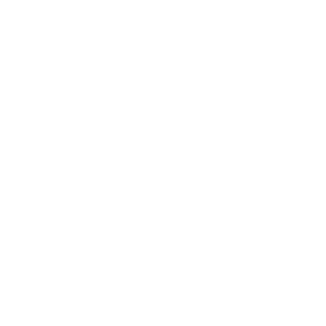GTR Logo
